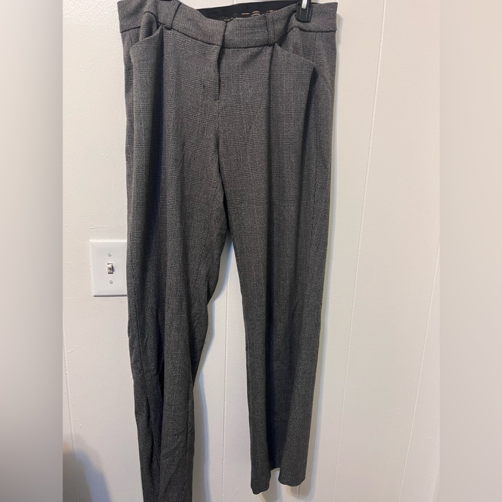 Express Slacks